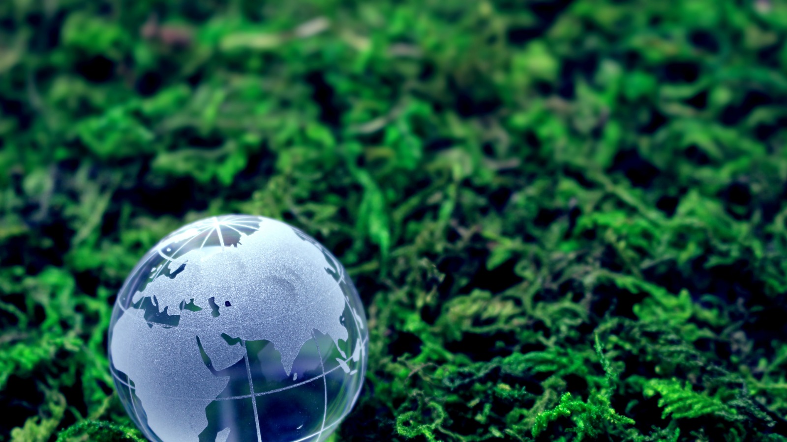  Çevre ve Sıfır Atık Derneği Görsel