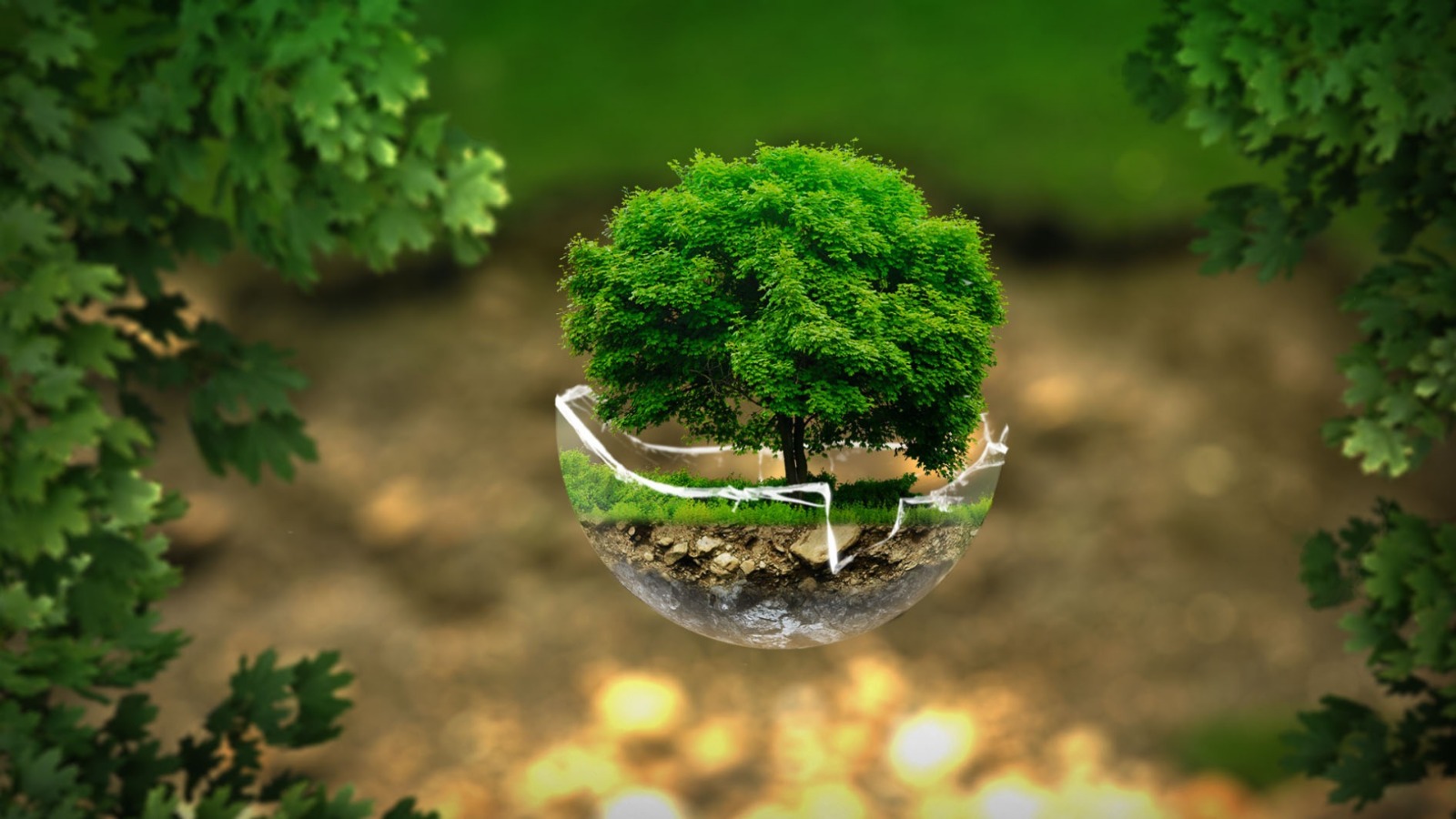  Çevre ve Sıfır Atık Derneği Görsel